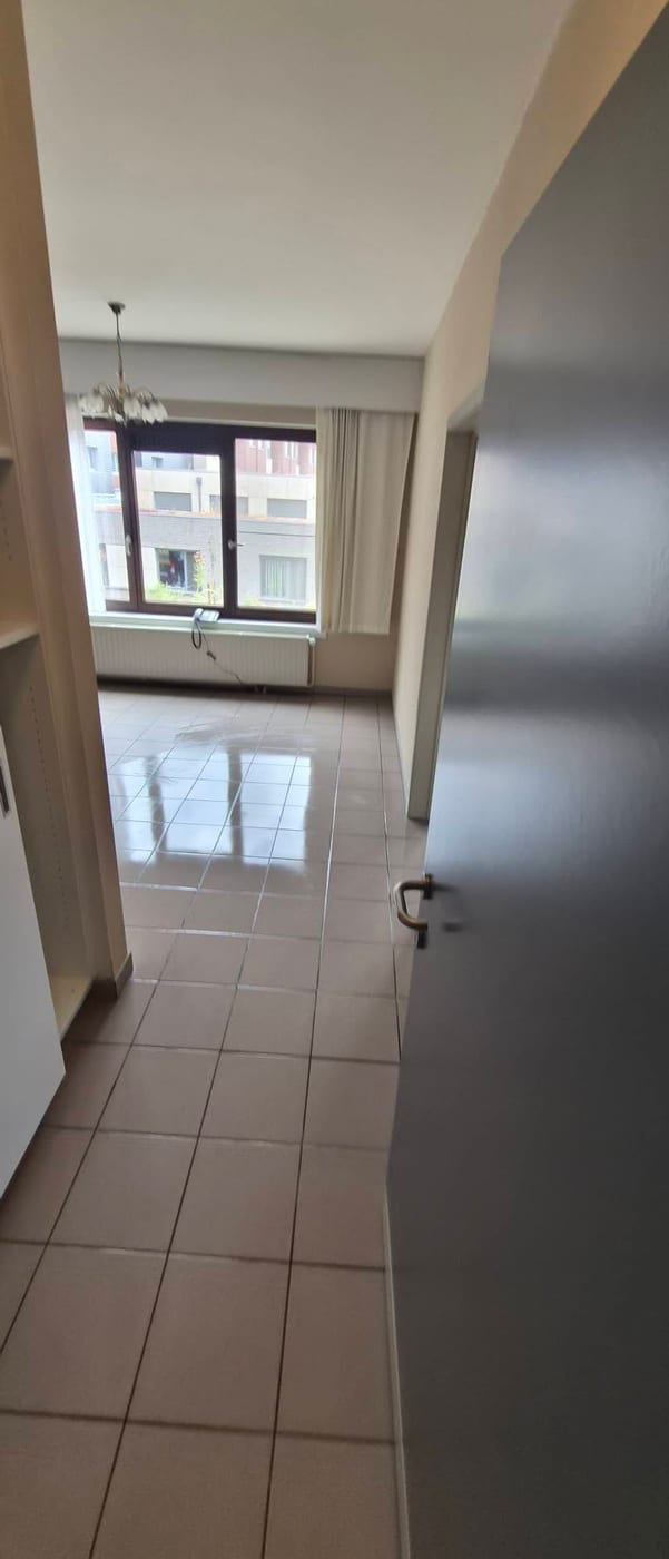 Hal met luchter en een glanzend gedweilde tegelvloer, met doorkijk naar de lege living
